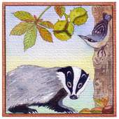 card image