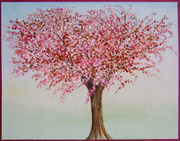 cherry tree