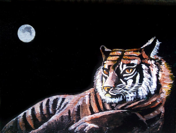 moonlight tiger