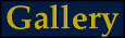 gallery link