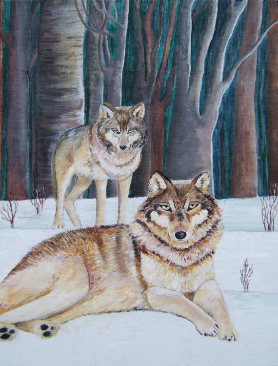 wolves in the snow